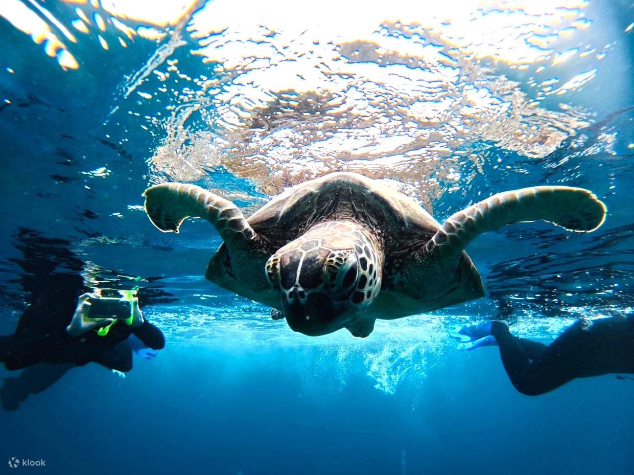 [Isola di Ishigaki/Mezza giornata] Esplorazione Grotta Blu & Snorkeling (Okinawa)